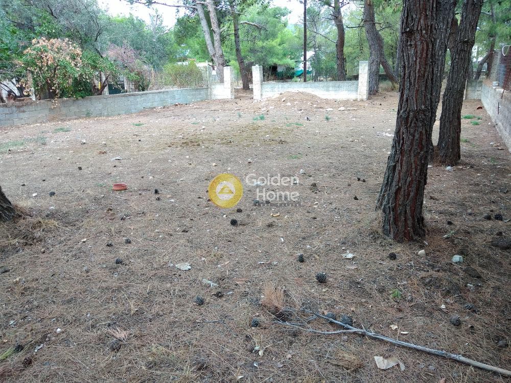 Parcel in Megala Sxoinia A, Acharnes — Photo 7 of 8