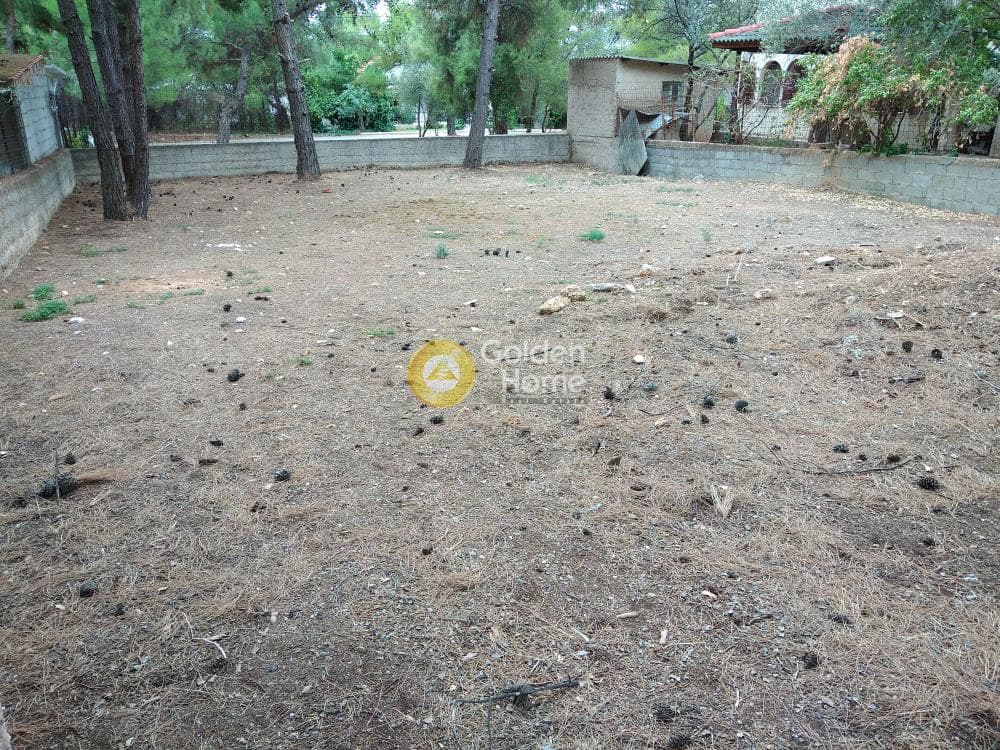 Parcel in Megala Sxoinia A, Acharnes — Photo 8 of 8