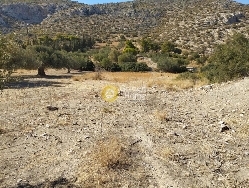 Αγροτεμάχιο στην Ρουντζέρι Λεμπρού, Κερατέα — Φωτογραφία 5 από 5