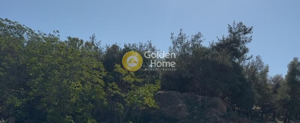 Building Plot in Karagianneika, Galatsi — Photo 4 of 4