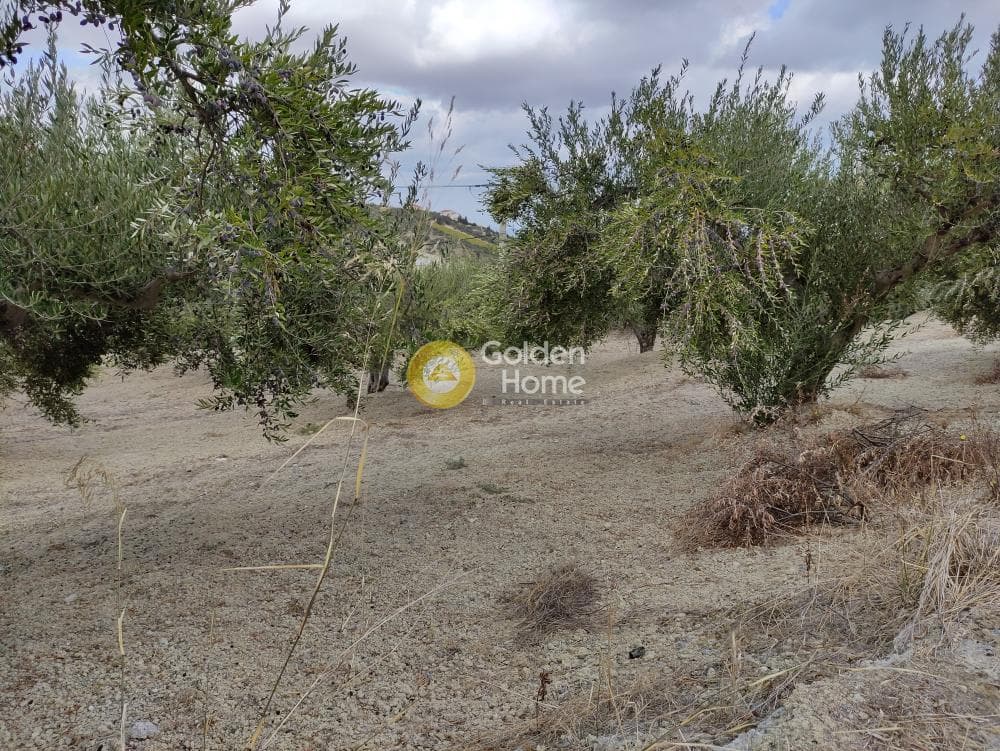 Building Plot in Patsides, Archanes — Photo 3 of 7
