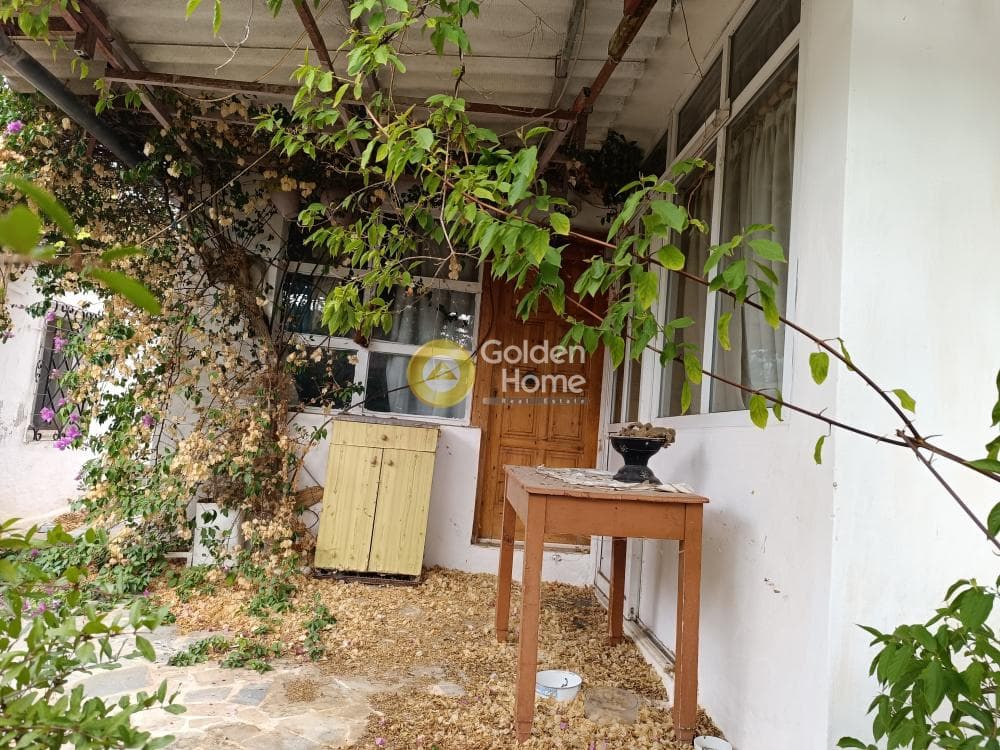 Μονοκατοικία στην Βορινέζα, Αρτέμιδα (Λούτσα) — Φωτογραφία 2 από 21