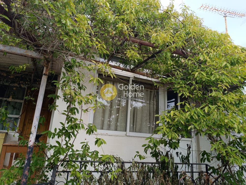 Μονοκατοικία στην Βορινέζα, Αρτέμιδα (Λούτσα) — Φωτογραφία 4 από 21