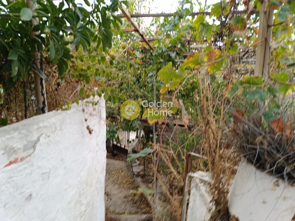 Μονοκατοικία στην Βορινέζα, Αρτέμιδα (Λούτσα) — Φωτογραφία 21 από 21