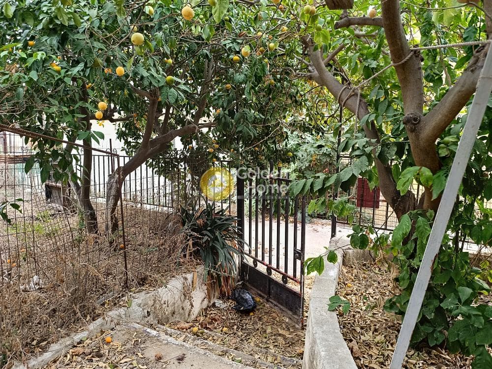 Μονοκατοικία στην Βορινέζα, Αρτέμιδα (Λούτσα) — Φωτογραφία 6 από 21