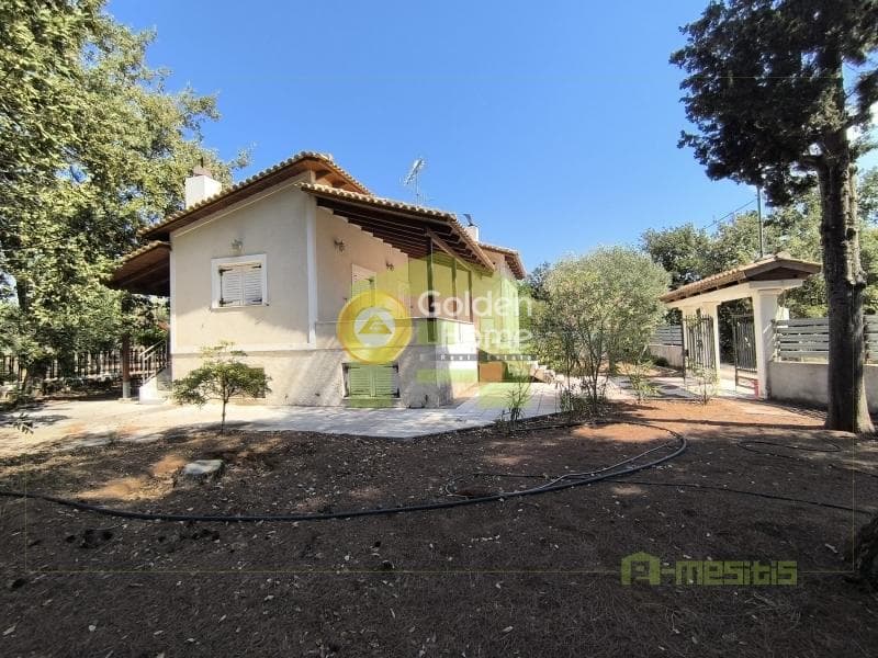 Μονοκατοικία στην Νιφοραίικα, Δυτικής Αχαΐας — Φωτογραφία 8 από 26