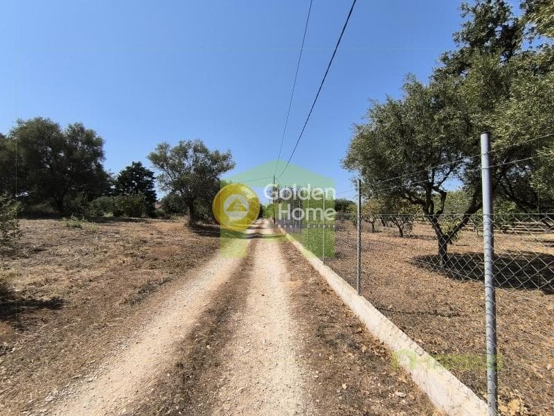 Μονοκατοικία στην Νιφοραίικα, Δυτικής Αχαΐας — Φωτογραφία 22 από 26