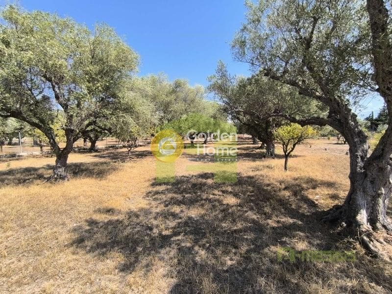 Μονοκατοικία στην Νιφοραίικα, Δυτικής Αχαΐας — Φωτογραφία 26 από 26