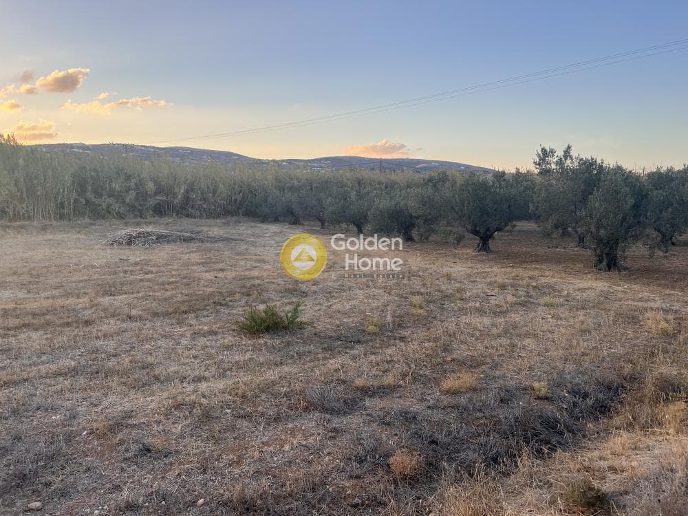 Αγροτεμάχιο στην Γλυφάδες, Πάρος — Φωτογραφία 1 από 16