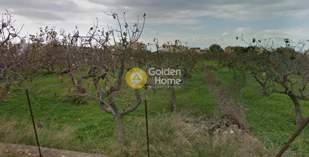 Building Plot in Kipseli, Aegina — Photo 1 of 6