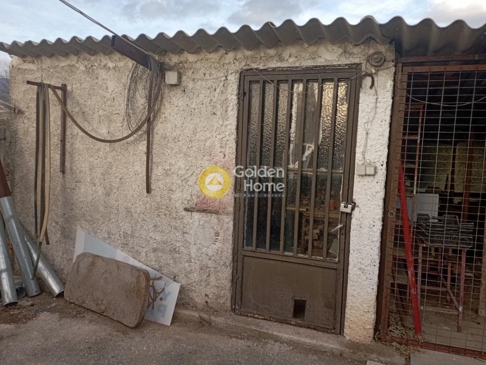 House in Lakkia, Vasilika — Photo 10 of 15