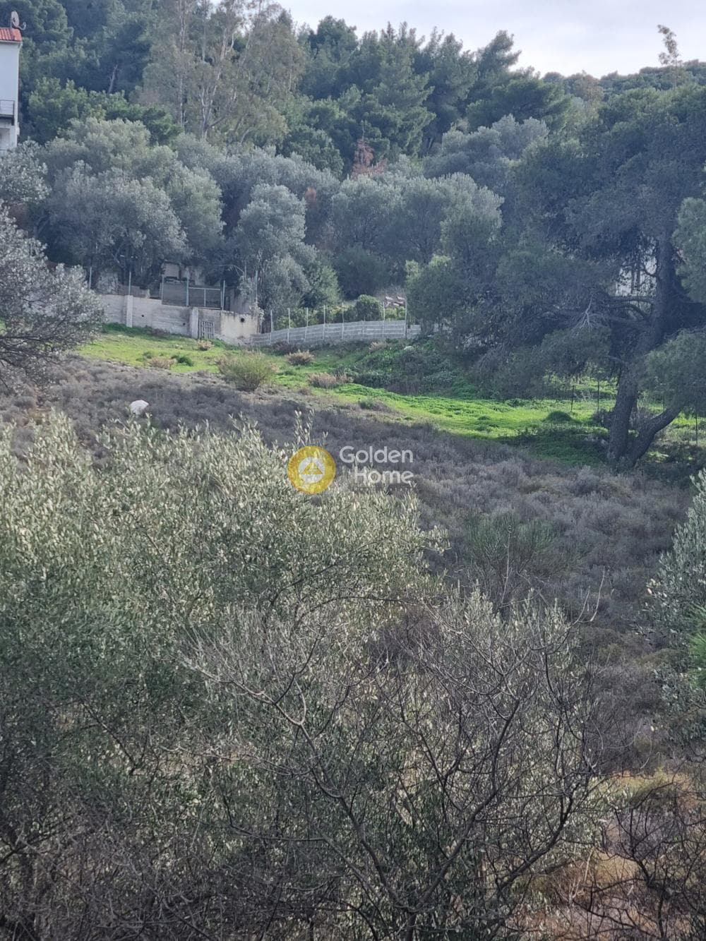 Αγροτεμάχιο στην Βένιο Δασκαλειού, Κερατέα — Φωτογραφία 1 από 7
