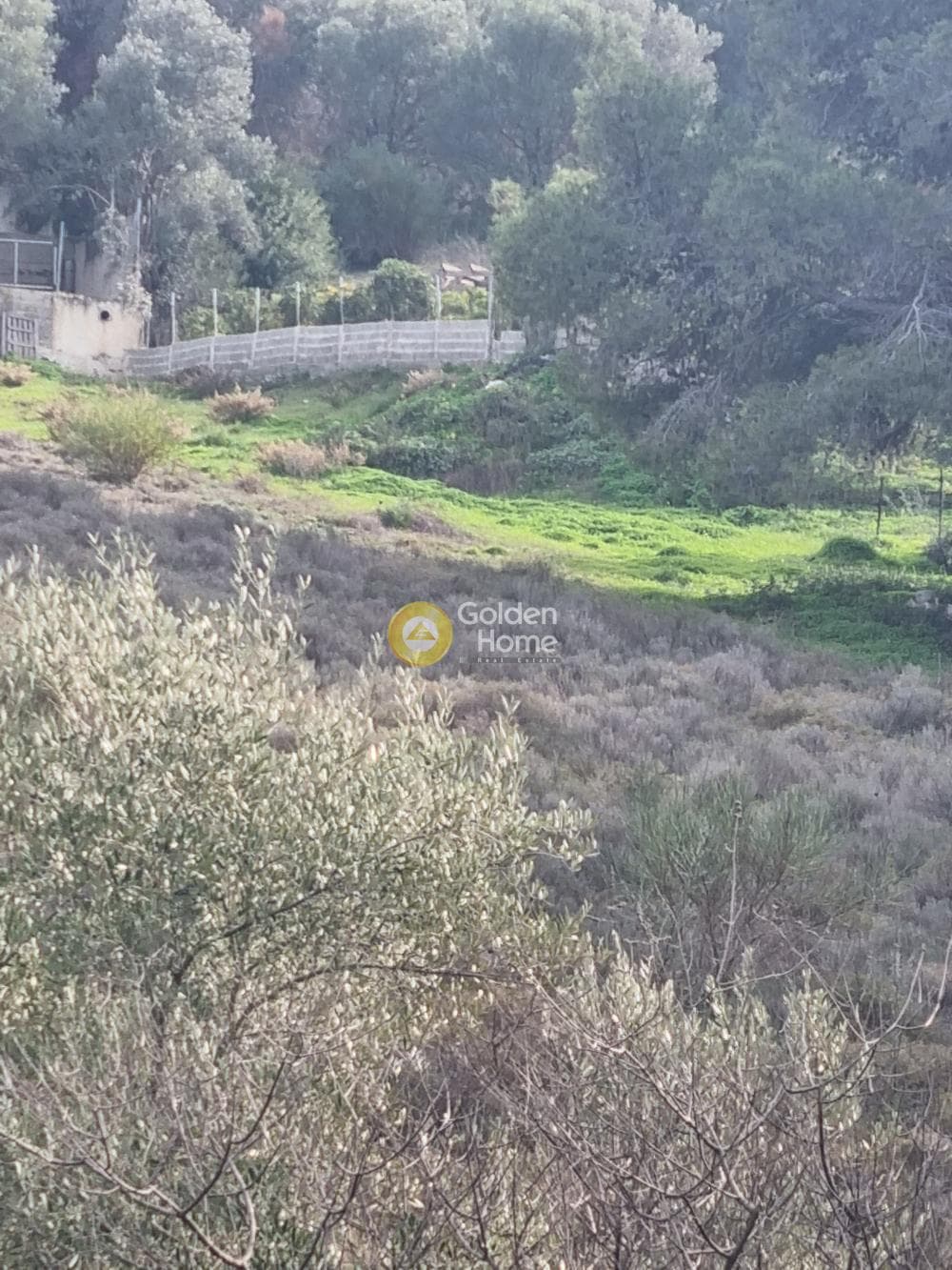 Αγροτεμάχιο στην Βένιο Δασκαλειού, Κερατέα — Φωτογραφία 4 από 7
