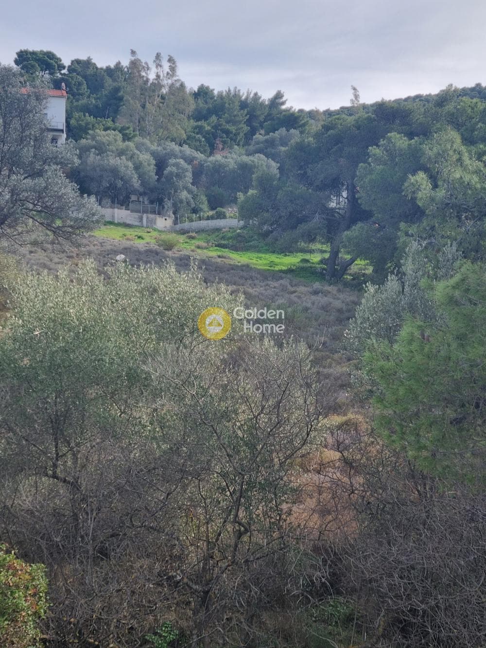Αγροτεμάχιο στην Βένιο Δασκαλειού, Κερατέα — Φωτογραφία 5 από 7
