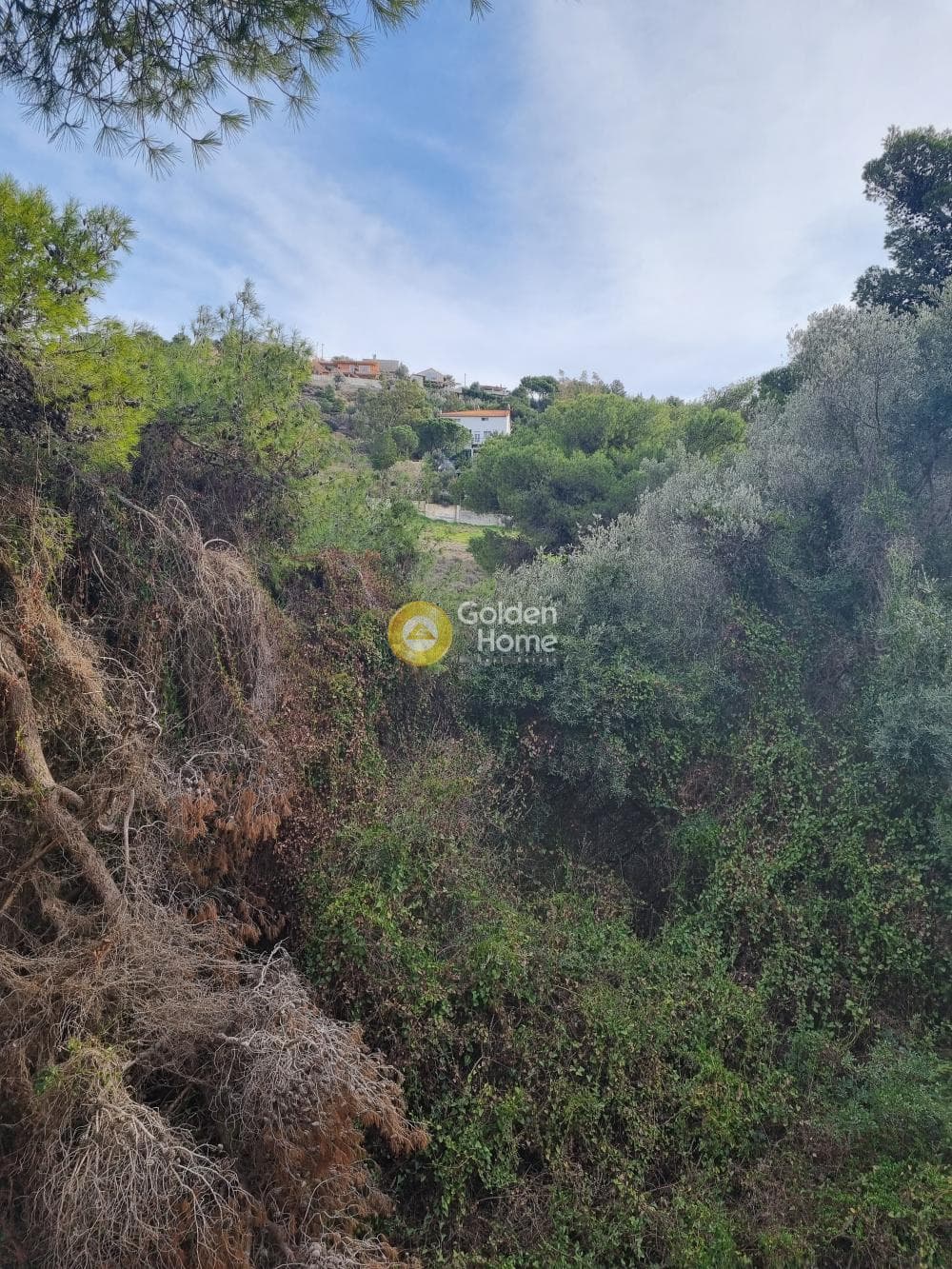 Αγροτεμάχιο στην Βένιο Δασκαλειού, Κερατέα — Φωτογραφία 6 από 7