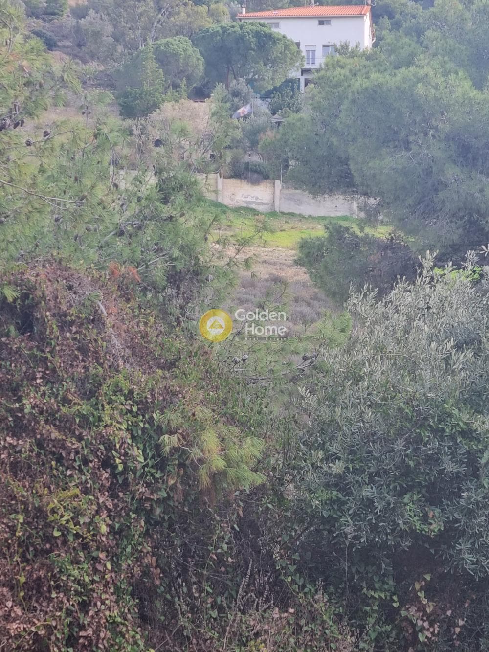 Αγροτεμάχιο στην Βένιο Δασκαλειού, Κερατέα — Φωτογραφία 7 από 7