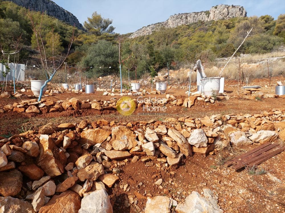 Building Plot in Center, Koropi — Photo 1 of 7