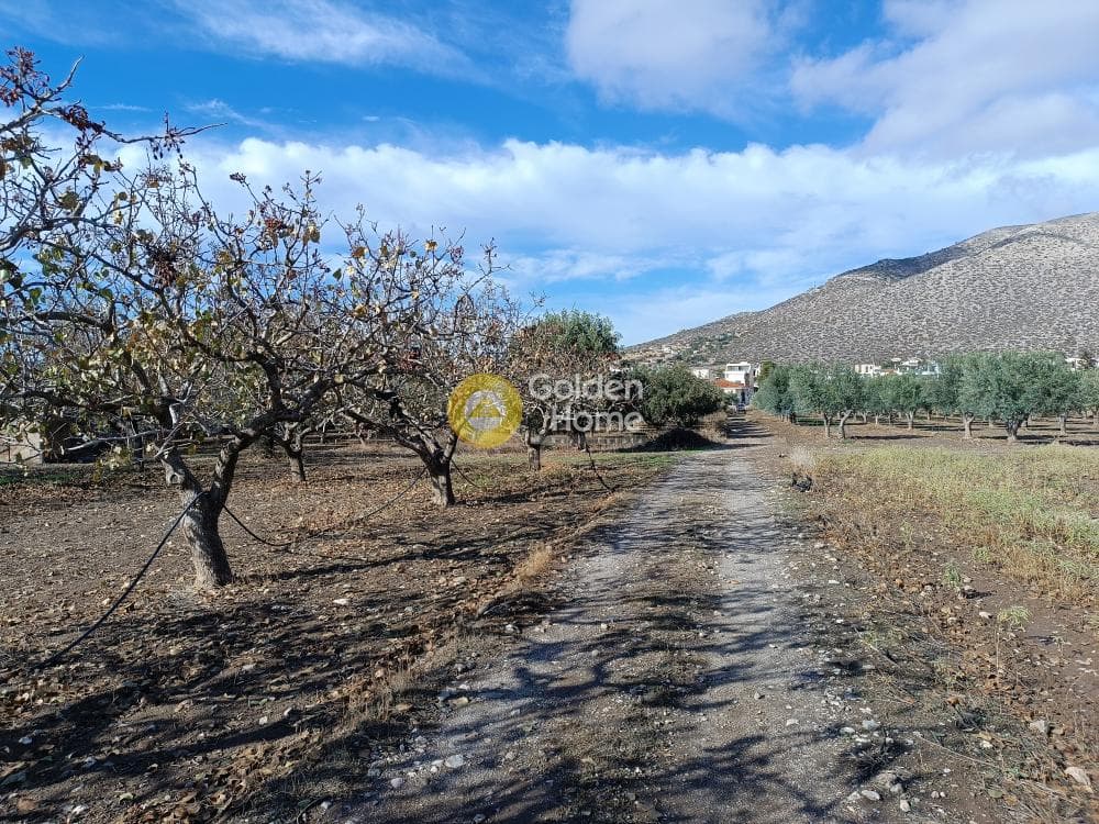 Οικόπεδο στην Ανάβυσσος Κέντρο, Ανάβυσσος — Φωτογραφία 5 από 6