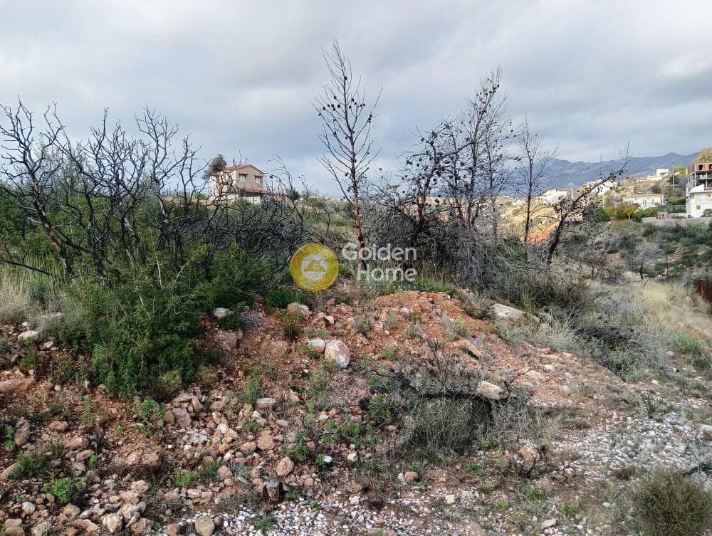 Οικόπεδο στην Ανθούσα, Ανθούσα — Φωτογραφία 1 από 5