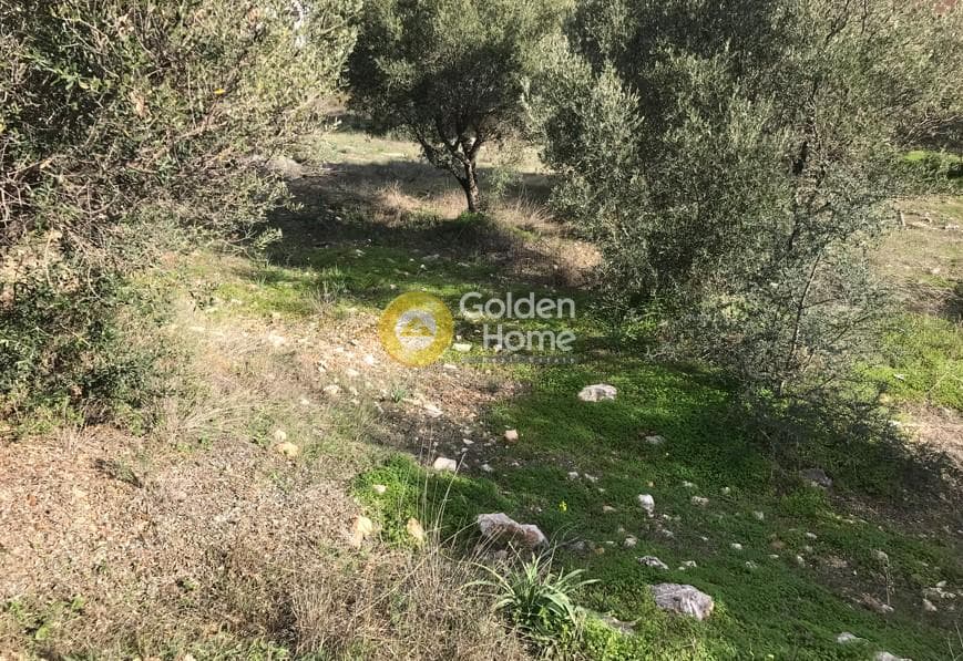 Οικόπεδο στην Καλύβια, Καλύβια Θορικού — Φωτογραφία 8 από 20