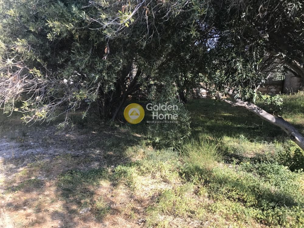 Οικόπεδο στην Καλύβια, Καλύβια Θορικού — Φωτογραφία 10 από 20