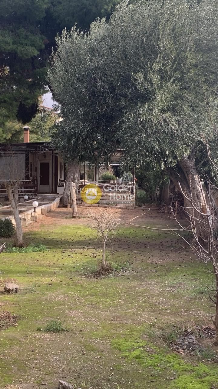Οικόπεδο στην Καλύβια, Καλύβια Θορικού — Φωτογραφία 13 από 20