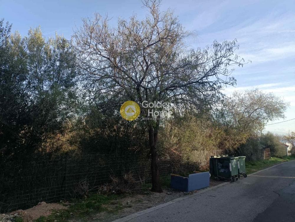 Building Plot in Selinia, Salamina — Photo 1 of 4