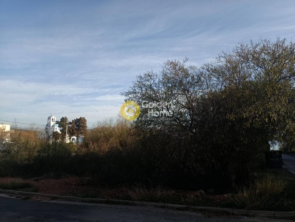 Building Plot in Selinia, Salamina — Photo 2 of 4