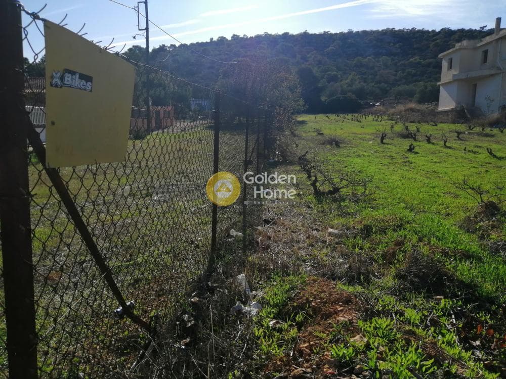 Parcel in Lamprika, Koropi — Photo 2 of 6