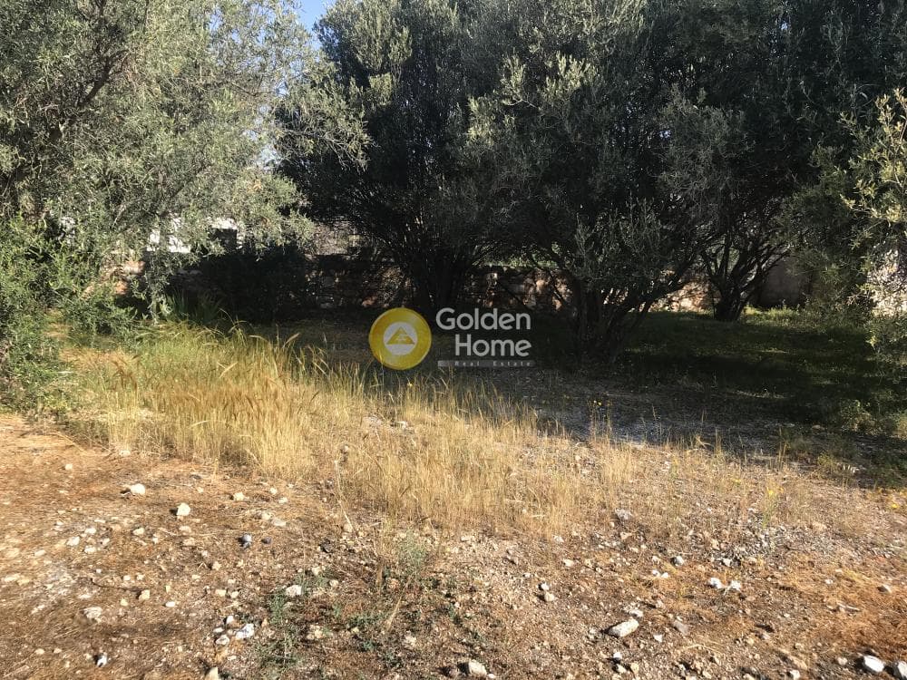 Μονοκατοικία στην Καλύβια, Καλύβια Θορικού — Φωτογραφία 12 από 20