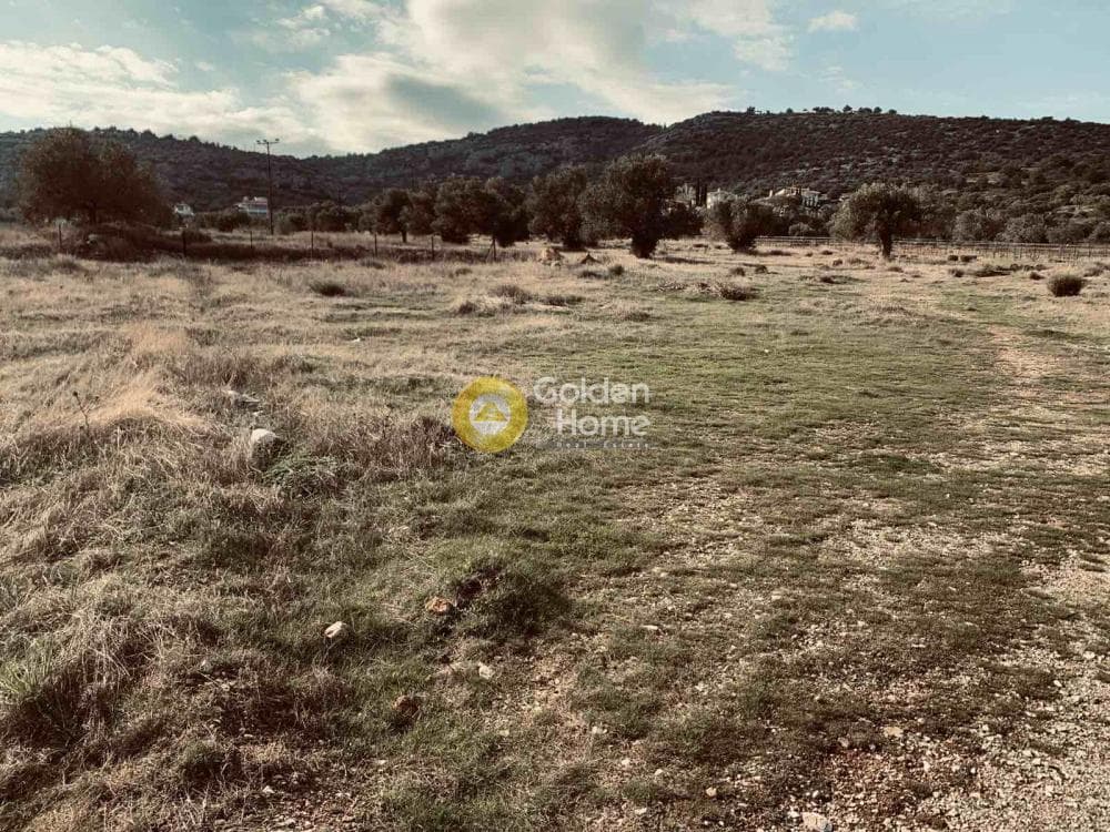Αγροτεμάχιο στην Κέντρο, Κορωπί