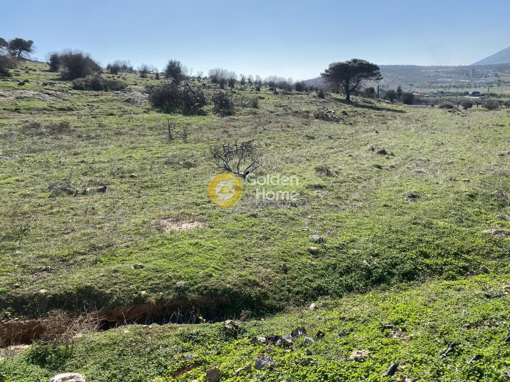 Αγροτεμάχιο στην Καλύβια, Καλύβια Θορικού — Φωτογραφία 1 από 15