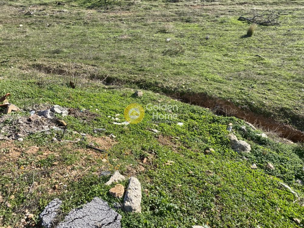 Αγροτεμάχιο στην Καλύβια, Καλύβια Θορικού — Φωτογραφία 5 από 15