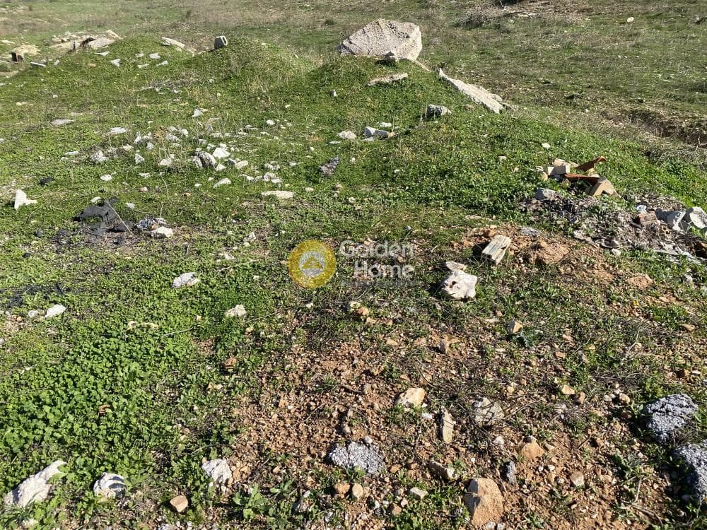 Αγροτεμάχιο στην Καλύβια, Καλύβια Θορικού — Φωτογραφία 6 από 15