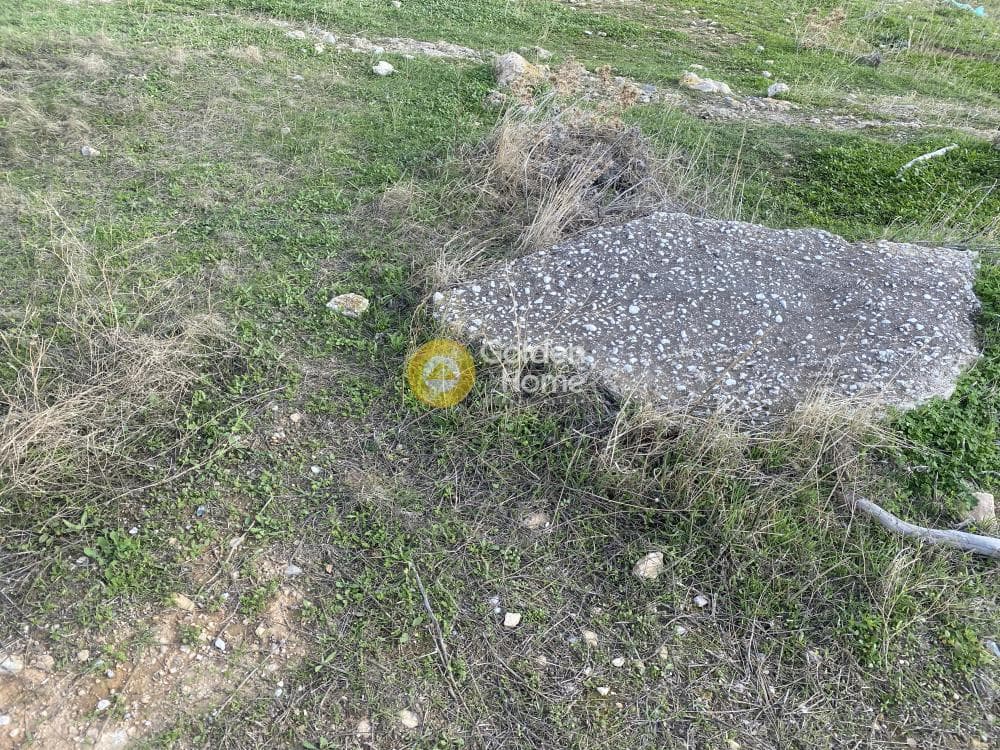 Αγροτεμάχιο στην Καλύβια, Καλύβια Θορικού — Φωτογραφία 14 από 15