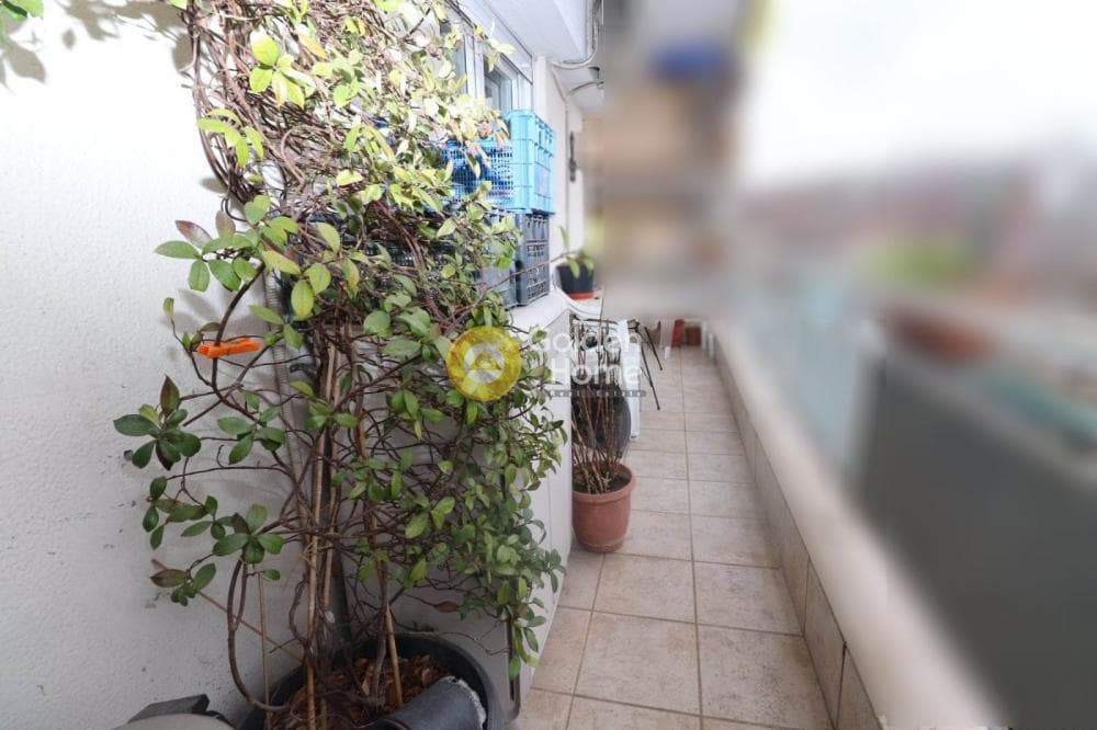 Apartment in Kokkoras, Sikies — Photo 16 of 17