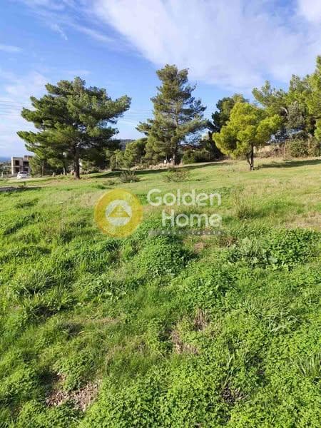Building Plot in Agia Marina, Koropi — Photo 2 of 4