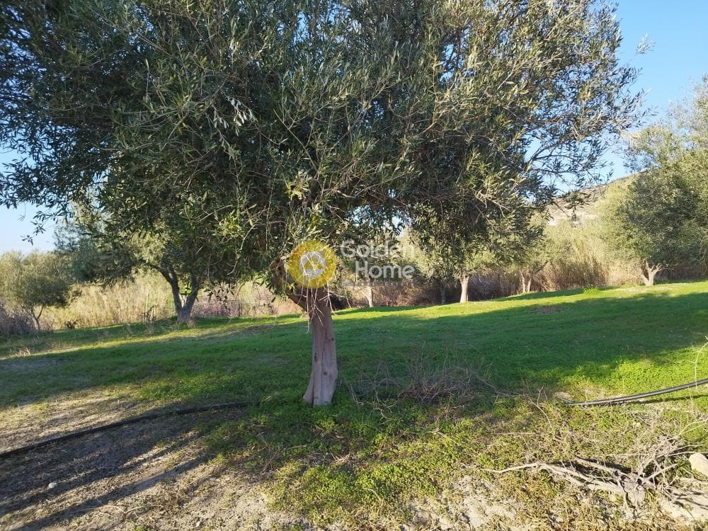 Οικόπεδο στην Άγιος Βλάσιος, Αρχάνες — Φωτογραφία 2 από 5