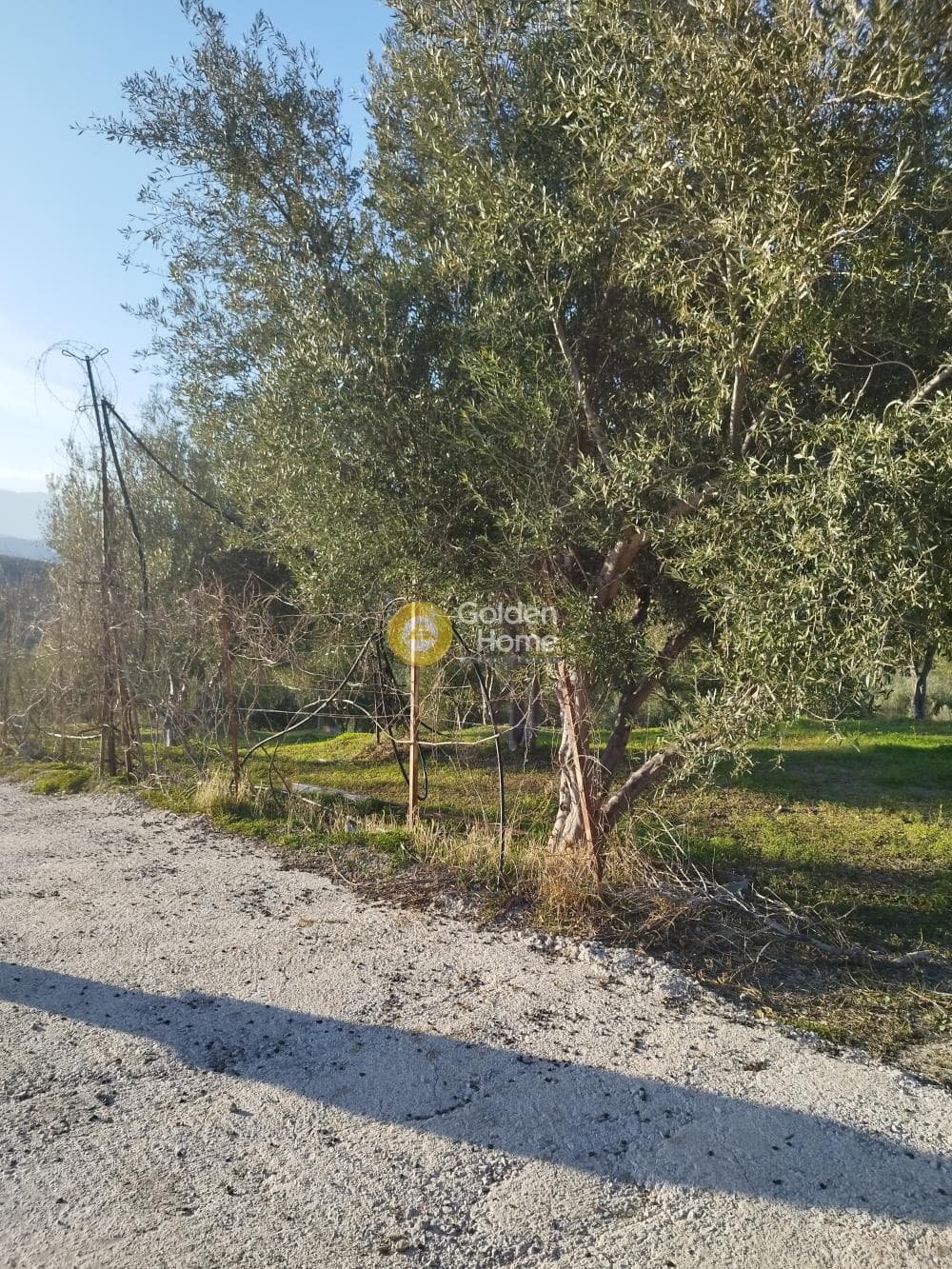 Οικόπεδο στην Άγιος Βλάσιος, Αρχάνες — Φωτογραφία 3 από 5