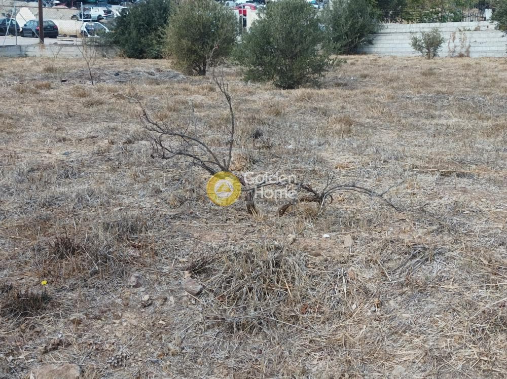 Building Plot in Rountzeri Lemprou, Keratea — Photo 5 of 7