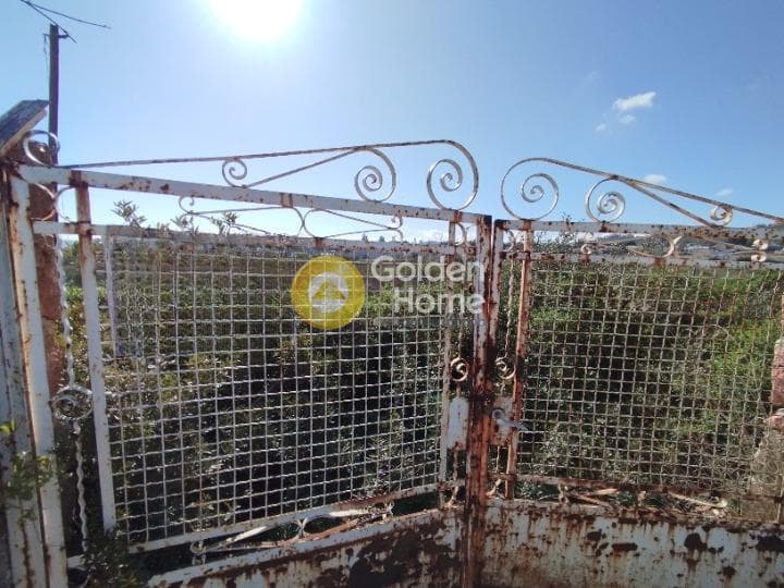 Οικόπεδο στην Μάτι, Ραφήνα — Φωτογραφία 8 από 25