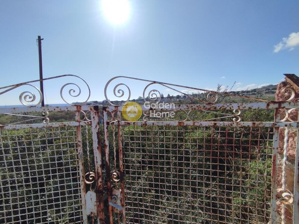 Οικόπεδο στην Μάτι, Ραφήνα — Φωτογραφία 21 από 25
