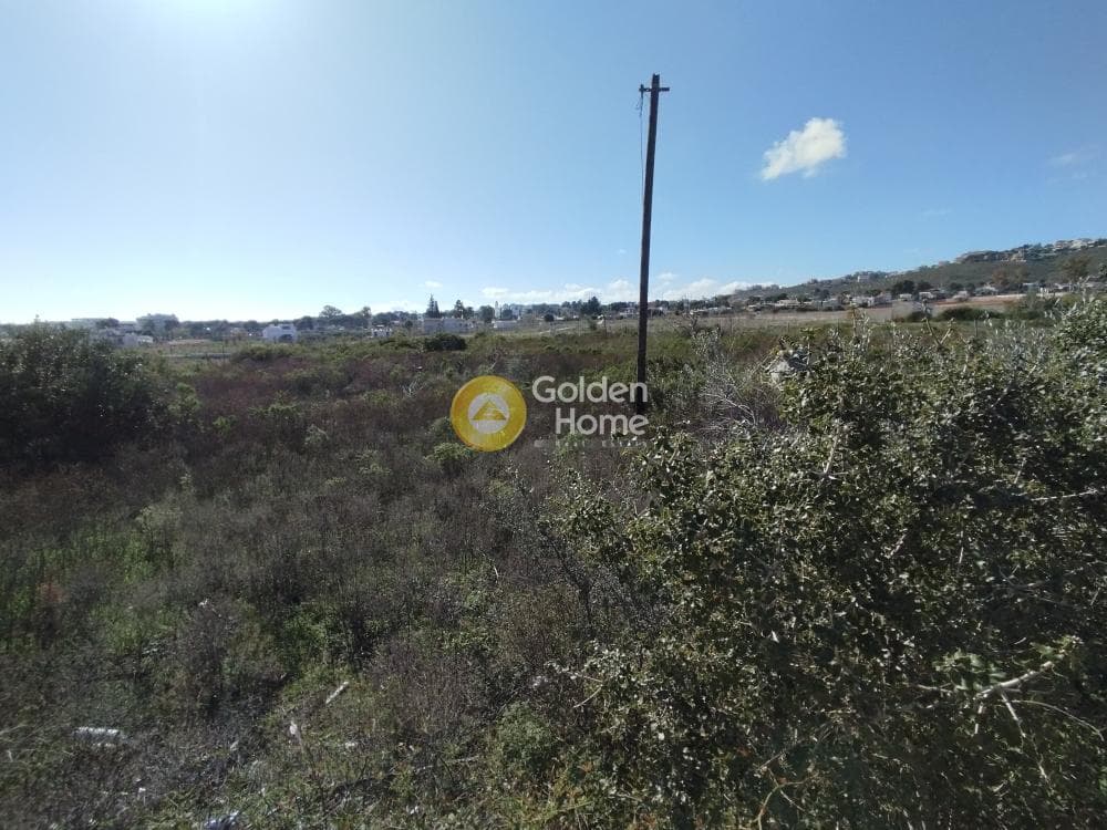 Οικόπεδο στην Μάτι, Ραφήνα — Φωτογραφία 25 από 25