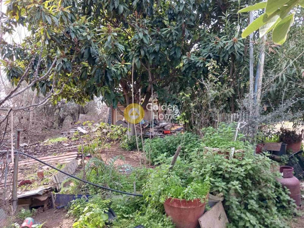 Parcel in Pirgouthi, Acharnes — Photo 1 of 4