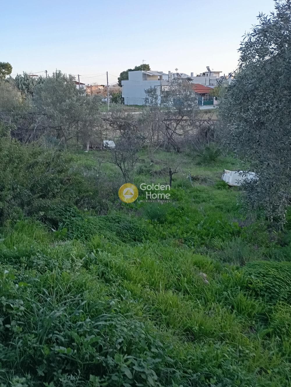 Αγροτεμάχιο στην Άγιος Σεραφείμ, Αρτέμιδα (Λούτσα) — Φωτογραφία 3 από 9