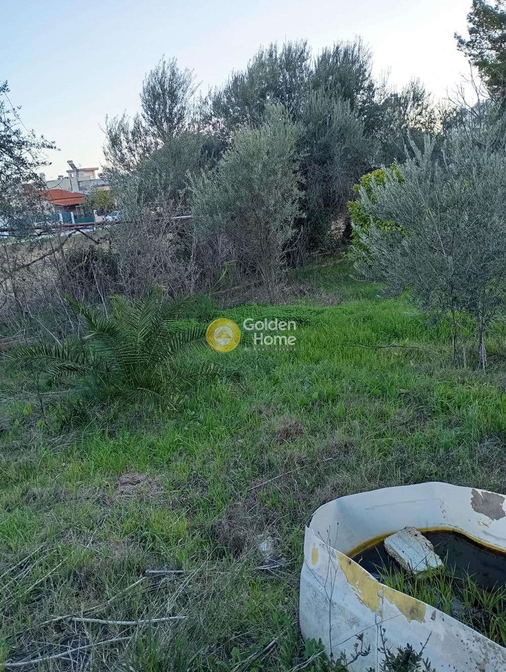 Αγροτεμάχιο στην Άγιος Σεραφείμ, Αρτέμιδα (Λούτσα) — Φωτογραφία 5 από 9