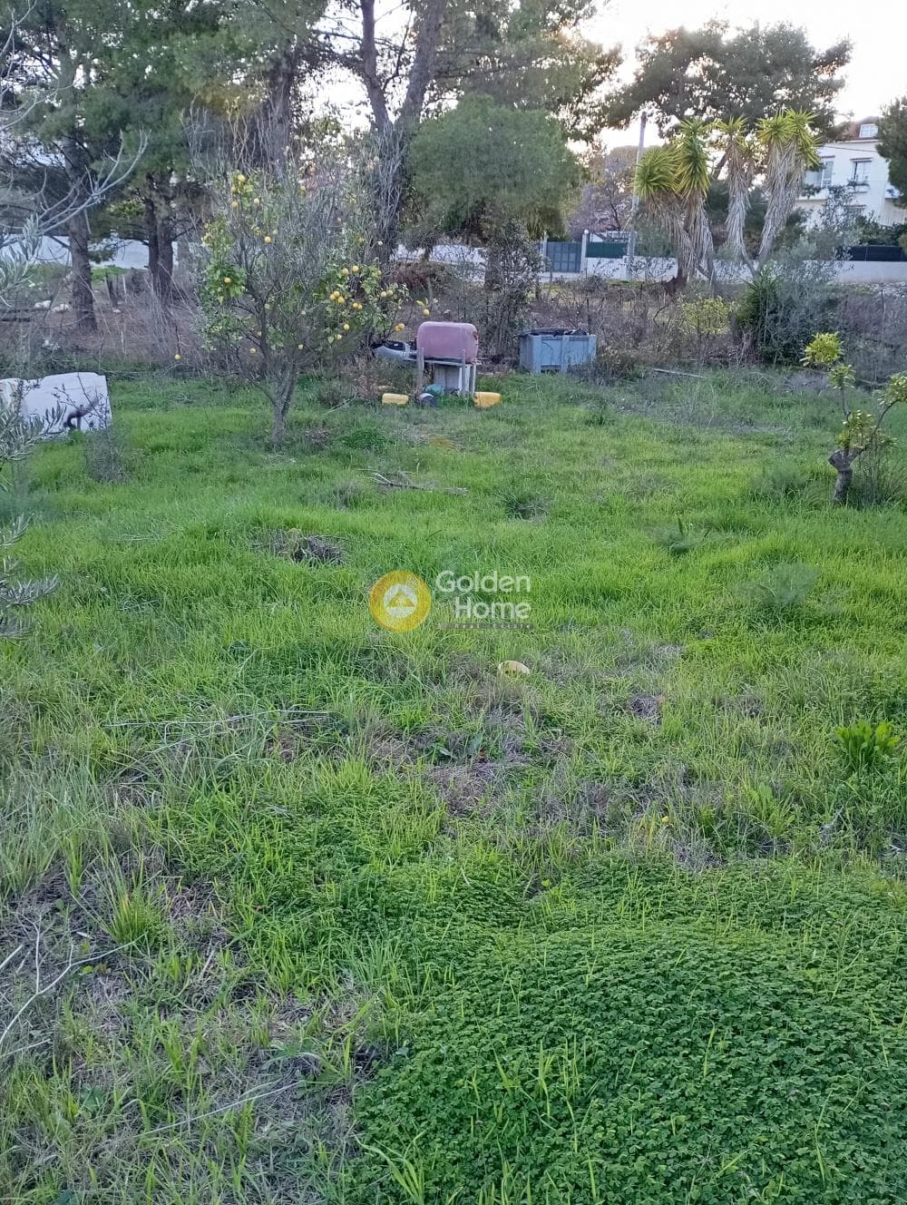 Αγροτεμάχιο στην Άγιος Σεραφείμ, Αρτέμιδα (Λούτσα) — Φωτογραφία 6 από 9