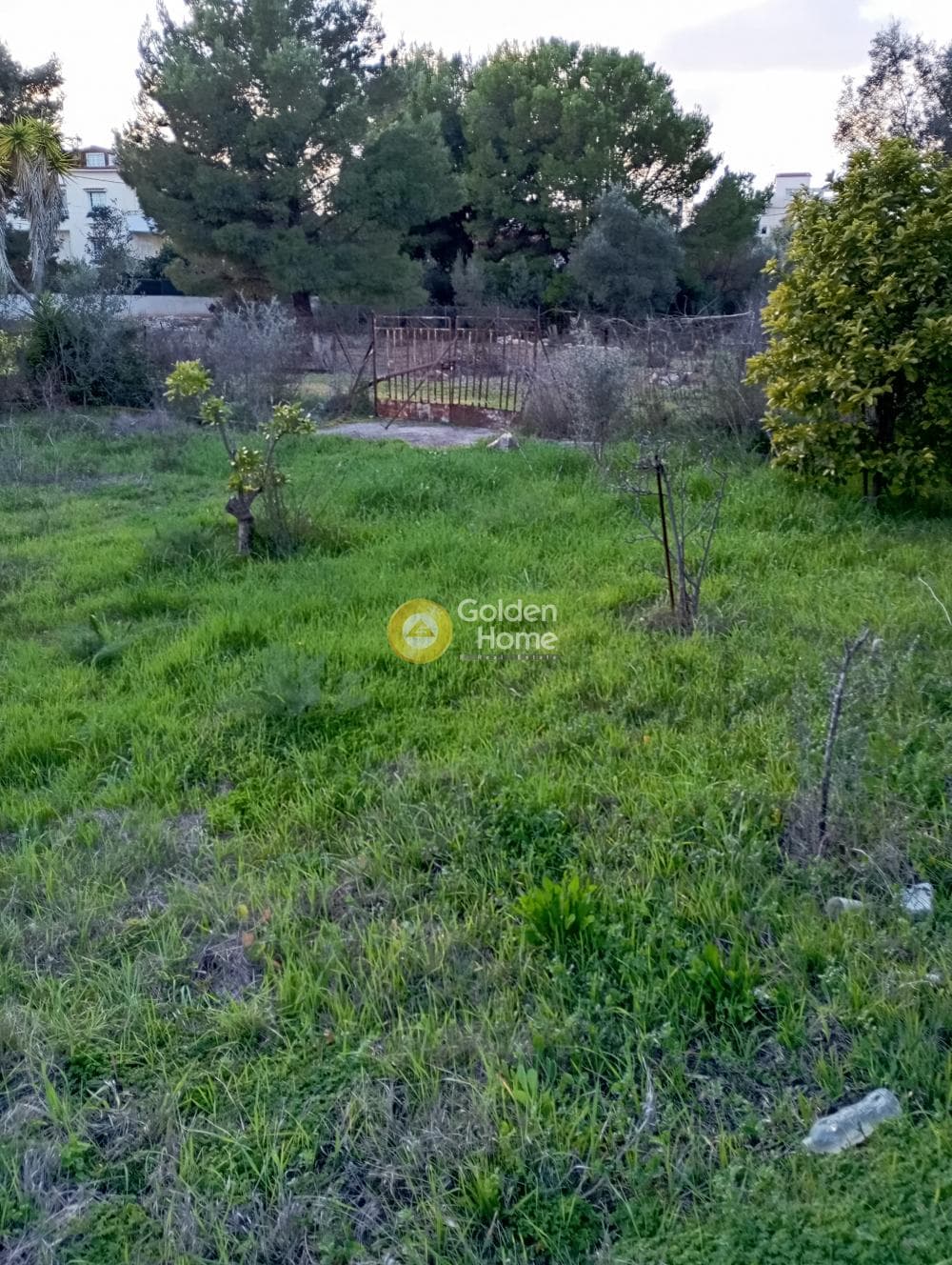 Αγροτεμάχιο στην Άγιος Σεραφείμ, Αρτέμιδα (Λούτσα) — Φωτογραφία 7 από 9