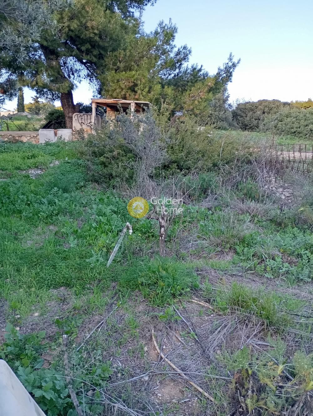 Αγροτεμάχιο στην Άγιος Σεραφείμ, Αρτέμιδα (Λούτσα) — Φωτογραφία 8 από 9