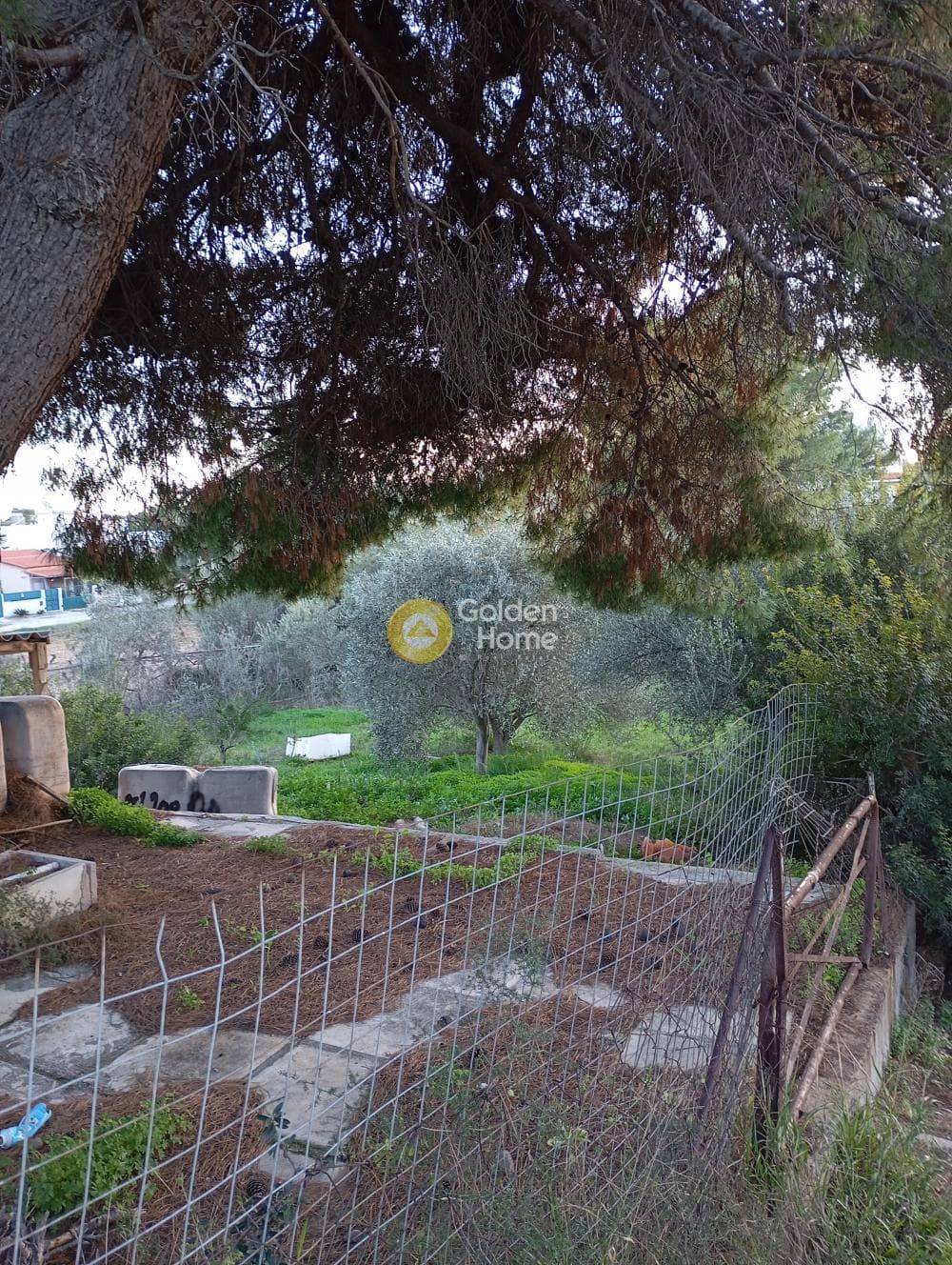 Αγροτεμάχιο στην Άγιος Σεραφείμ, Αρτέμιδα (Λούτσα) — Φωτογραφία 9 από 9